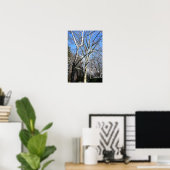 Poster Arbres blancs (Bureau à domicile)
