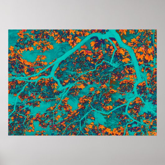 Poster Arbres colorés verts et orangers (Devant)