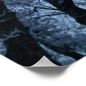 Poster Arbres couverts de neige (Coin)