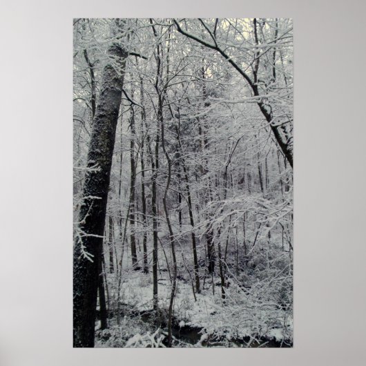 Poster Arbres couverts de neige (Devant)