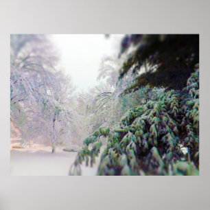 Poster Arbres couverts de neige, Pin sur KC Street