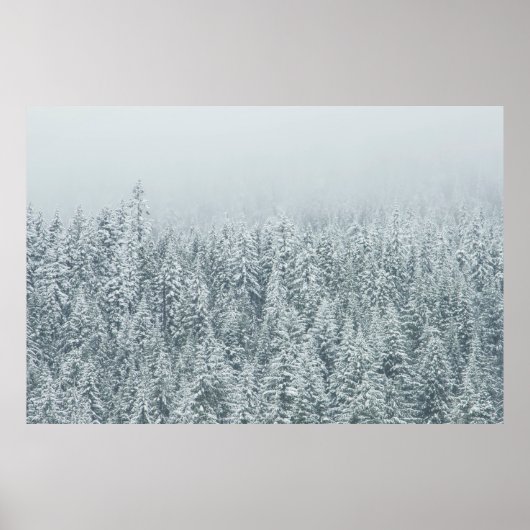 POSTER ARBRES COUVRANT LA NEIGE (Devant)