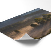 Poster Arbres dans le brouillard du matin (Coin)