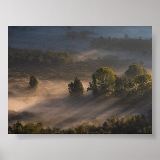 Poster Arbres dans le brouillard du matin (Devant)