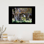 Poster Arbres dans le parc Balboa (Cuisine)