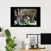 Poster Arbres dans le parc Balboa (Bureau à domicile)
