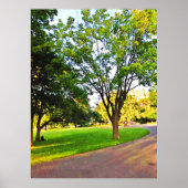 Poster Arbres Dans Le Parc D'Ottawa. Commandez dès mainte (Devant)