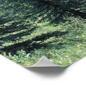 Poster Arbres dans le Parc National des Glaciers, Montana (Coin)