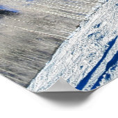 Poster Arbres d'argent (Coin)