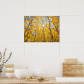 Poster Arbres d'Aspen | Sierra Nevada Mountains, CA (Cuisine)