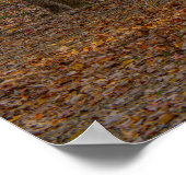 Poster Arbres d'automne (Coin)