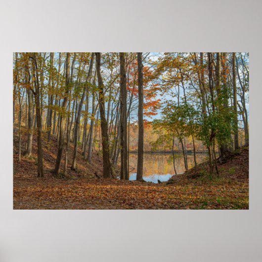 Poster Arbres d'automne (Devant)