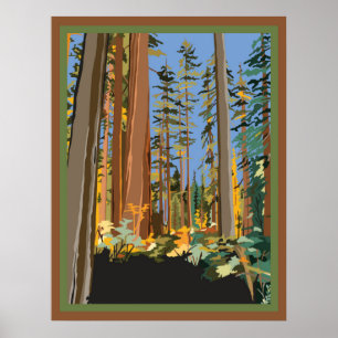 Poster Arbres de Californie