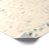 Poster Arbres de Casuarina, Long Island Bahamas (Coin)