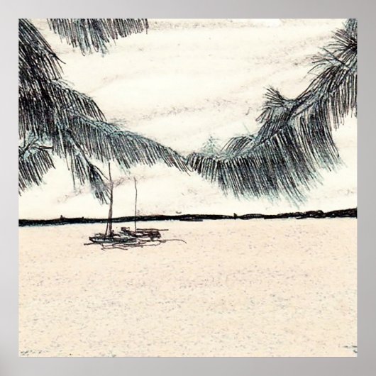 Poster Arbres de Casuarina, Long Island Bahamas (Devant)