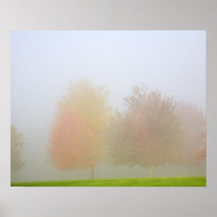 Poster Arbres de chute enveloppés en brume