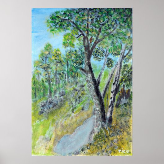 POSTER ARBRES DE FLEUVE (Devant)