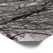 Poster Arbres de Magnolia en fleurs 03 (Coin)