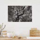 Poster Arbres de Magnolia en fleurs 03 (Cuisine)