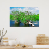 Poster Arbres de mangrove et Anhinga, Floride Everglades (Cuisine)