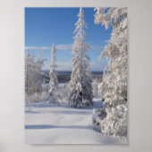 Poster Arbres de montagne 1 (Devant)