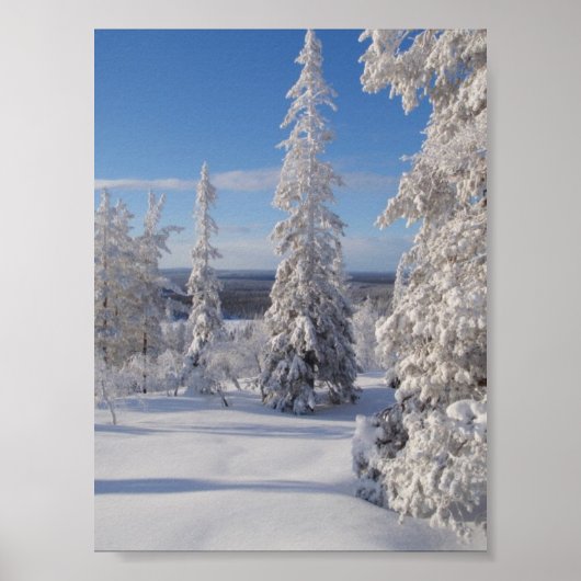 Poster Arbres de montagne 1 (Devant)