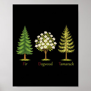 Poster Arbres de sapin subtils de cornouiller de tamarack