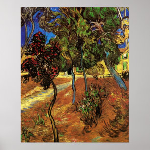 Poster Arbres de Van Gogh dans le jardin, hôpital Saint-P