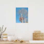 Poster Arbres dénudés (Cuisine)