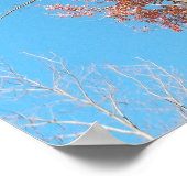 Poster Arbres dénudés (Coin)