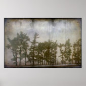 Poster Arbres d'hiver (Devant)