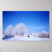 Poster Arbres d'hiver (Devant)