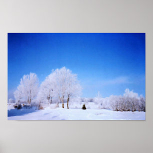Poster Arbres d'hiver