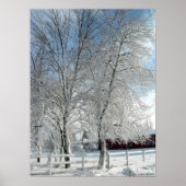 Poster Arbres d'hiver (Devant)