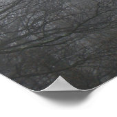 Poster Arbres d'hiver dans le brouillard - Citation de Kh (Coin)