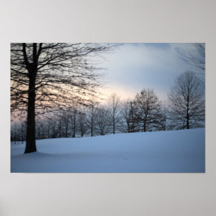Poster Arbres d'hiver pittoresques