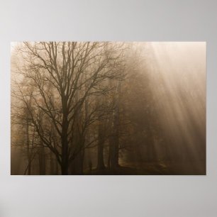 Poster Arbres du Tennessee dans le brouillard Great Smo