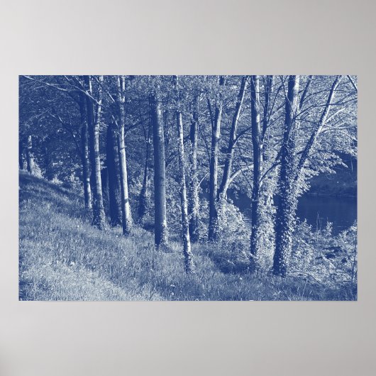 Poster Arbres d'une rivière - Effet Cyanotype (Devant)