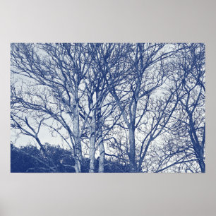 Poster Arbres en hiver - Effet Cyanotype