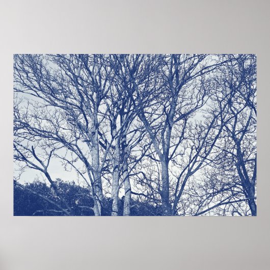 Poster Arbres en hiver - Effet Cyanotype (Devant)