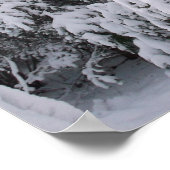 Poster Arbres enneigés (Coin)