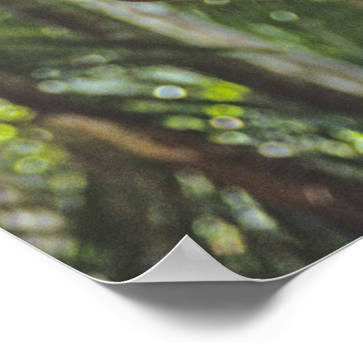 Poster Arbres Escalades. (Coin)