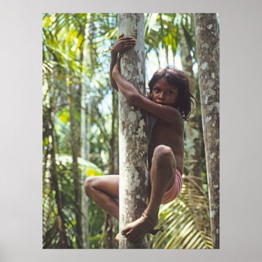 Poster Arbres Escalades. (Devant)