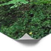 Poster Arbres et arbustes (Coin)