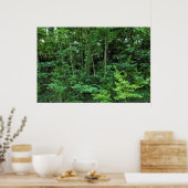 Poster Arbres et arbustes (Cuisine)