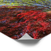 Poster Arbres et buissons colorés au printemps (Coin)