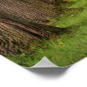 Poster Arbres et chemin Bible Citations Inspiration (Coin)