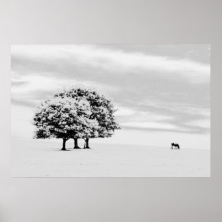 Poster arbres et chevaux