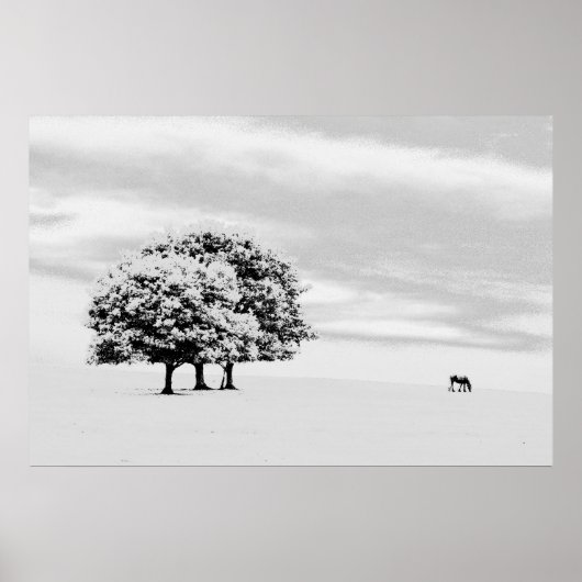 Poster arbres et chevaux (Devant)