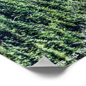 Poster Arbres et crêtes (Coin)